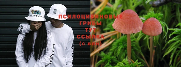 спайс Алзамай