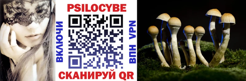 Псилоцибиновые грибы Psilocybe Лодейное Поле